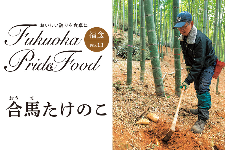 Fukuoka Pride Food/合馬たけのこを掘っている写真 Fukuoka Pride Food/合馬たけのこを掘っている写真