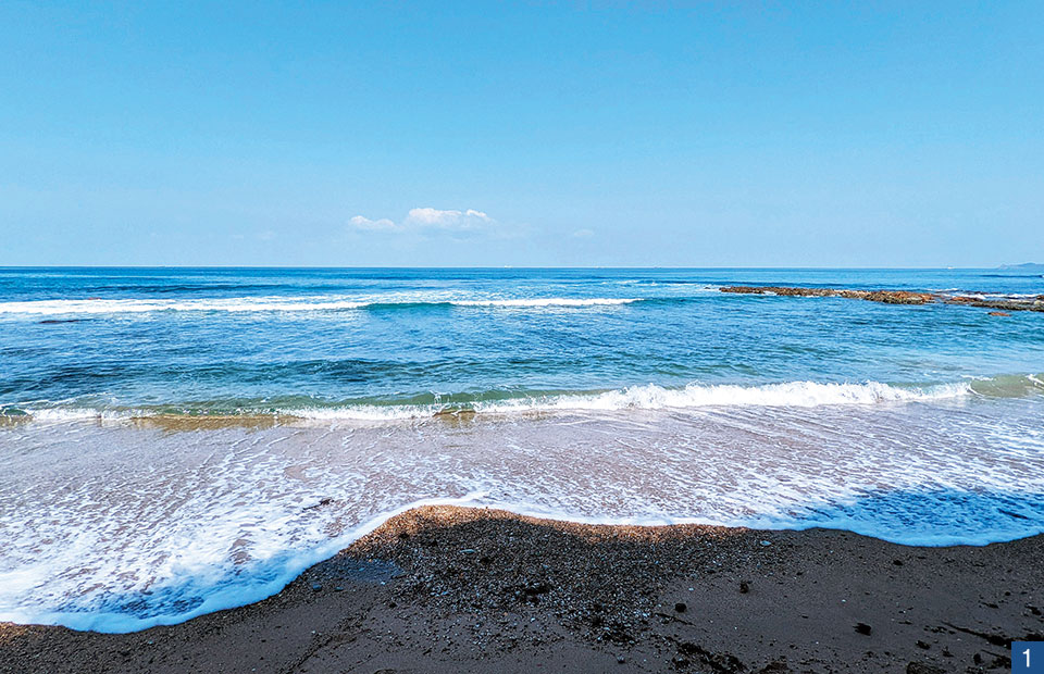 夏井ヶ浜の写真