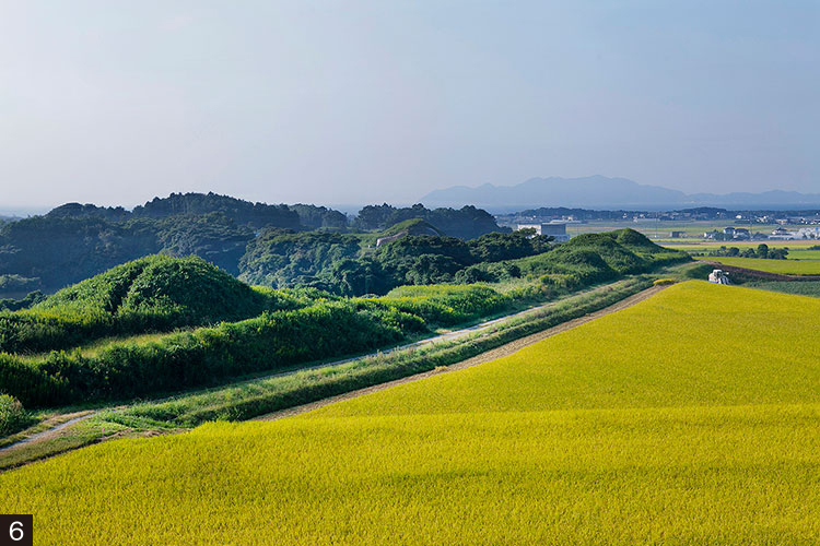 新原・奴山古墳群の写真