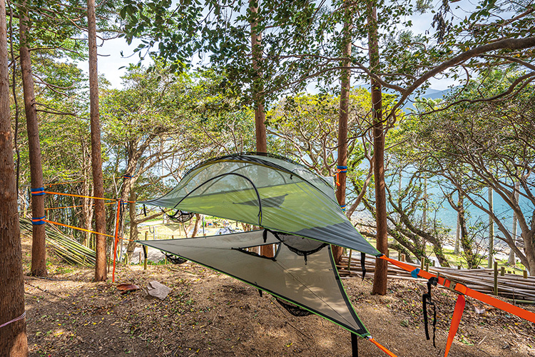 森の中の空中テントの写真