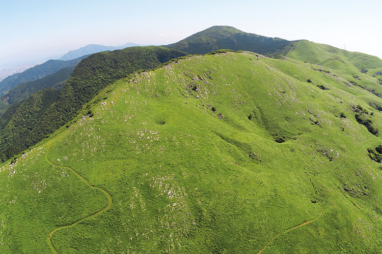 広大な山の写真