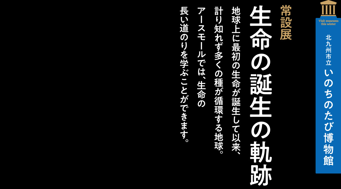 北九州市立いのちのたび博物館【常設展 生命の誕生の軌跡】地球上に最初の生命が誕生して以来、計り知れず多くの種が循環する地球。アースモールでは、生命の長い道のりを学ぶことができます。