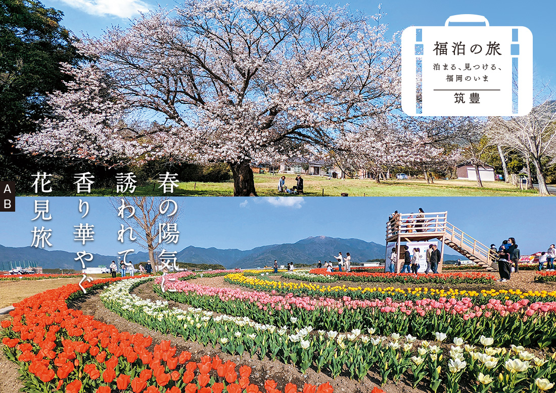 天郷の一本桜と河川敷を染めるたくさんのチューリップとそれを楽しむ人々の写真 天郷の一本桜と河川敷を染めるたくさんのチューリップとそれを楽しむ人々の写真