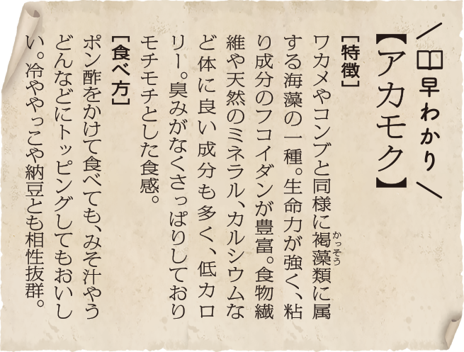 早わかり【アカモク】［特徴］ワカメやコンブと同様に褐藻（かっそう）類に属する海藻の一種。生命力が強く、粘り成分のフコイダンが豊富。食物繊維や天然のミネラル、カルシウムなど体に良い成分も多く、低カロリー。臭みがなくさっぱりしておりモチモチとした食感。［食べ方］ポン酢をかけて食べても、みそ汁やうどんなどにトッピングしてもおいしい。冷ややっこや納豆とも相性抜群。