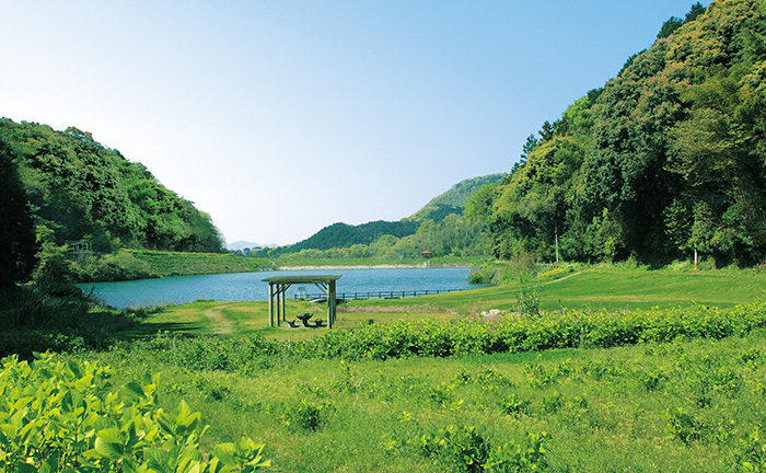 大きな池のある薬王寺水辺公園の写真
