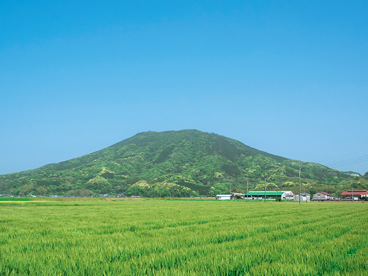 可也山の写真