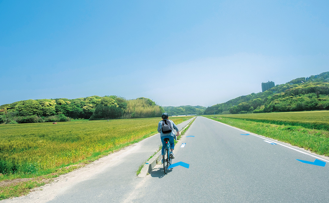 麦畑の道を自転車で走る写真