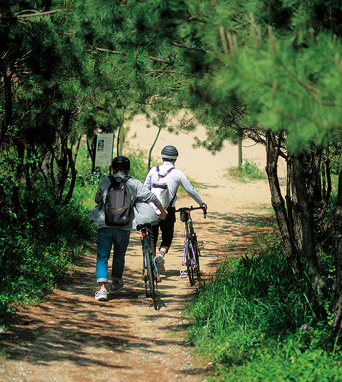松林の中を自転車を押しながら歩く男性2人の写真