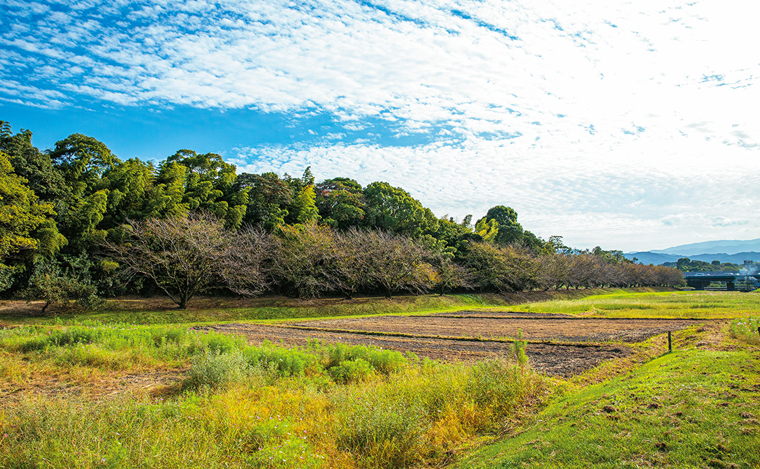 巨大な土塁のある風景写真