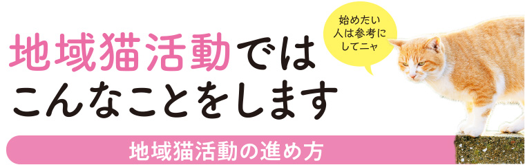 地域猫活動ではこんなことをします