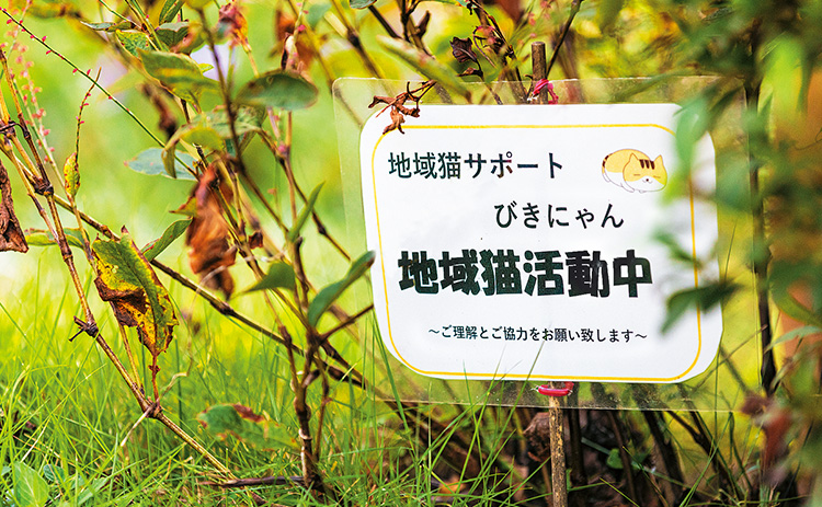 地域猫活動中と描かれた看板の写真