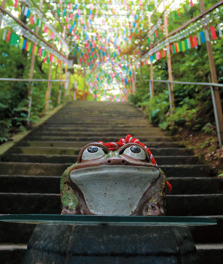 清影山（せいえいざん）如意輪寺（にょいりんじ）のかえるの写真