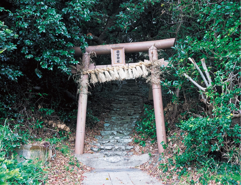 嶽宮神社(たけのみやじんじゃ)の写真