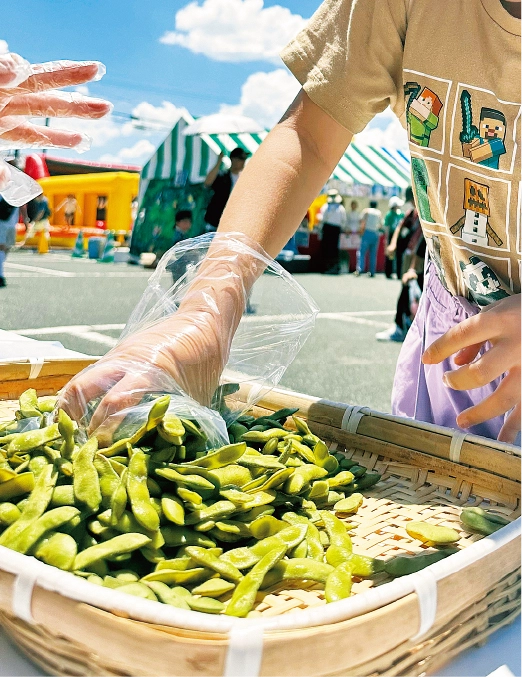 大刀洗えだまめ収穫祭の様子