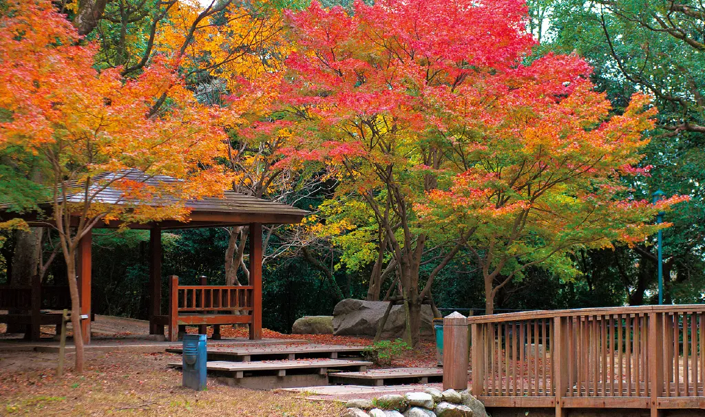 西公園の写真4