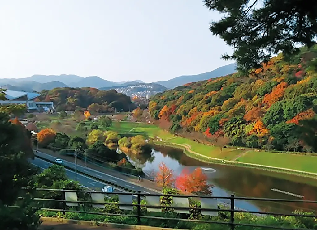 中央公園の写真2