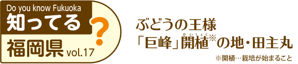 知ってる？福岡県 タイトル画像