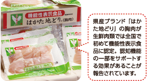 はかた地どり 画像　県産ブランド「はかた地どり」の胸肉が生鮮肉類では全国で初めて機能性表示食品に認定。認知機能の一部をサポートする効果があることが報告されています。