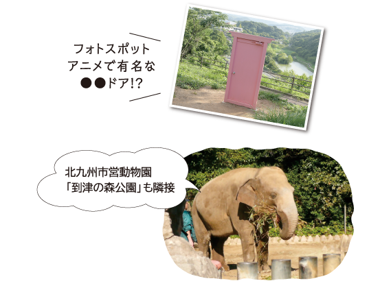 フォトスポットアニメで有名な●●ドア!? 北九州市営動物園「到津の森公園」も隣接
