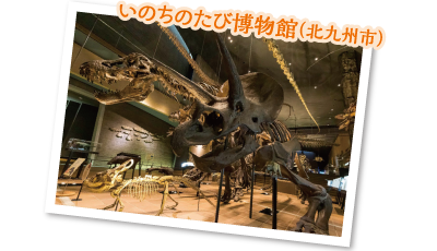 いのちのたび博物館(北九州市)