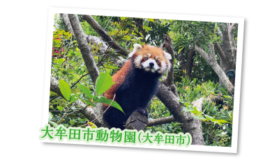 大牟田市動物園(大牟田市)