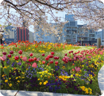 一人一花スプリングフェス2023 写真