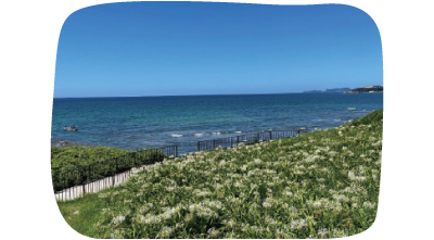 夏井ヶ浜