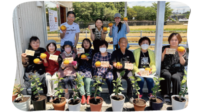 レモンの鉢植え