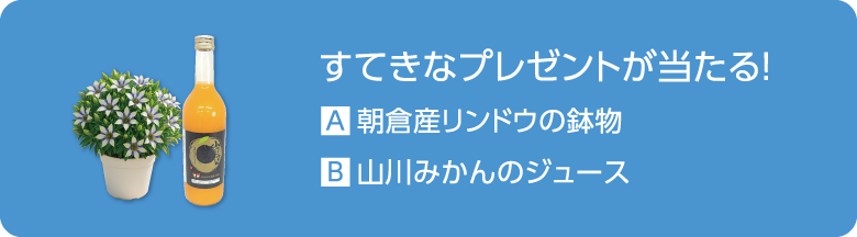 すてきなプレゼントが当たる！ A.朝倉産リンドウの鉢物 B.山川みかんのジュース