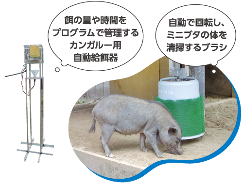 餌の量や時間をプログラムで管理するカンガルー用自動給餌器 自動で回転し、ミニブタの体を清掃するブラシ