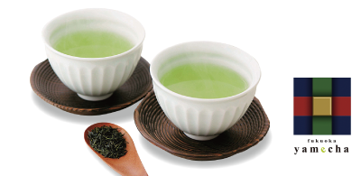 福岡の八女茶 写真