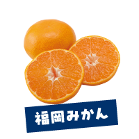 福岡みかん