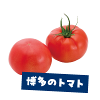 博多のトマト