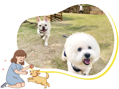 ドッグラン イメージ