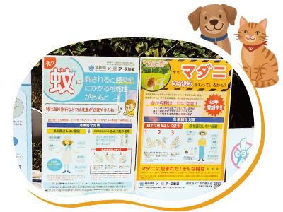 ドッグラン イメージ
