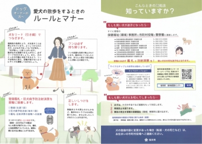 愛犬の散歩をするときのルールとマナー