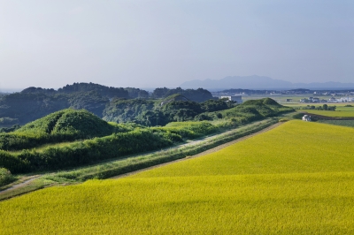 新原・奴山古墳群のイメージ