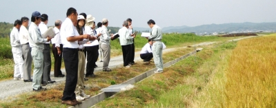 ラー麦現地視察の様子