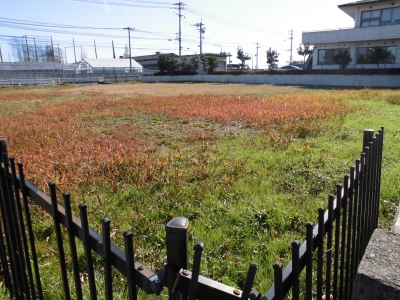 物件国道と反対側からの画像