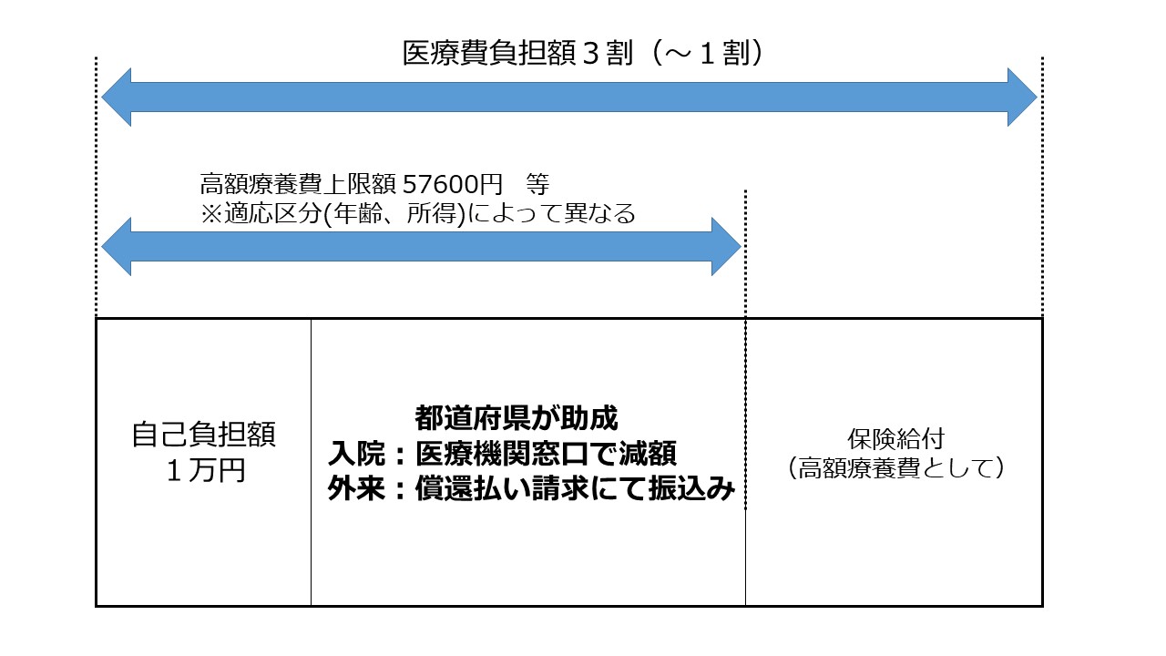 高額療養費の上限額から自己負担額１万円を引いた額を県が負担します。