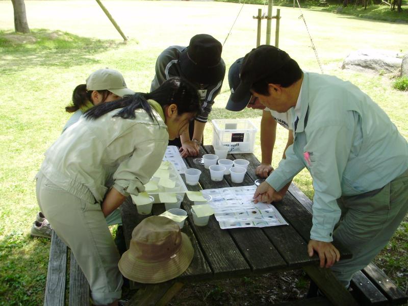 名前を調べる様子