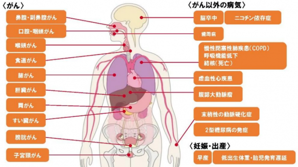 健康影響