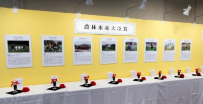 出品茶展示（昨年の京都大会）