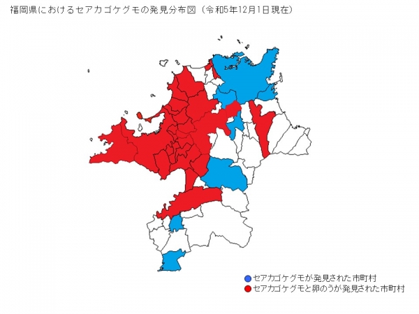 福岡県におけるセアカゴケグモの発見分布図