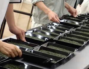 外観の審査