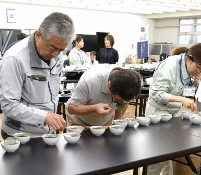 水色、香気及び味の審査