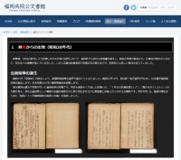 web展示