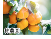 柿農園