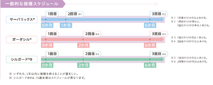 一般的な接種スケジュール