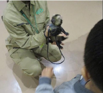 動物ふれあい